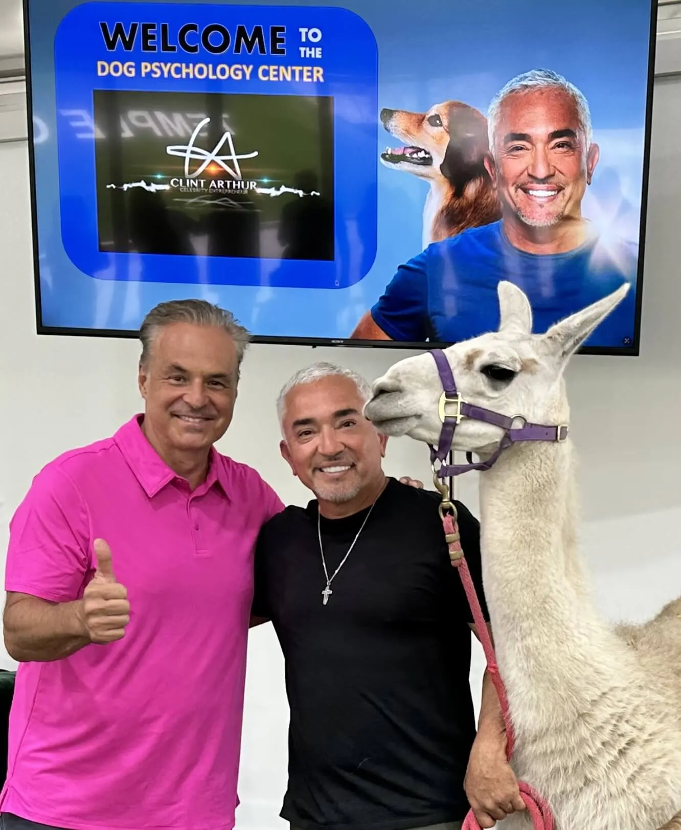 Two men and a llama indoors